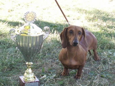 du Chateau de la Roche - ULLA SUR LE PODIUM